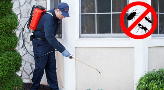 Sütçüler Karınca İlaçlama böcek ilaçlama ve haşere kontrolü — ilaclama-tr.com